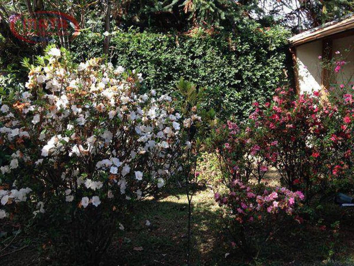 3 chambres Maison à Sao Paulo, Brazil No. 516766