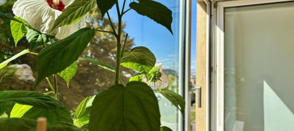 Apartamento de 4 habitaciónes en Vienna, Austria No. 230615 6