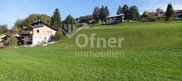 Grundstück in Krottendorf-Gaisfeld, Austria, Nr. 36376 7