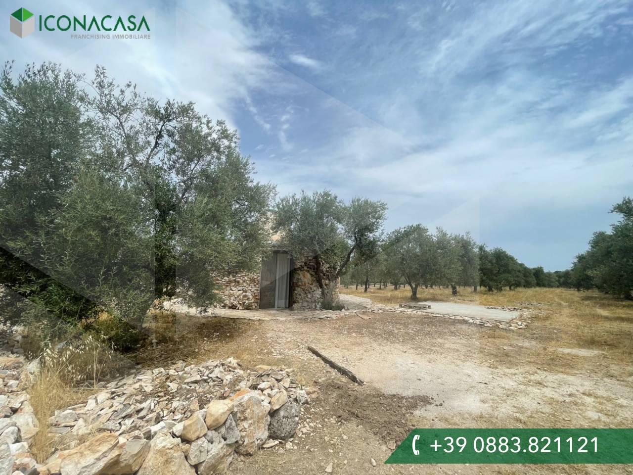 استوديو في Andria, Italy رقم 14869