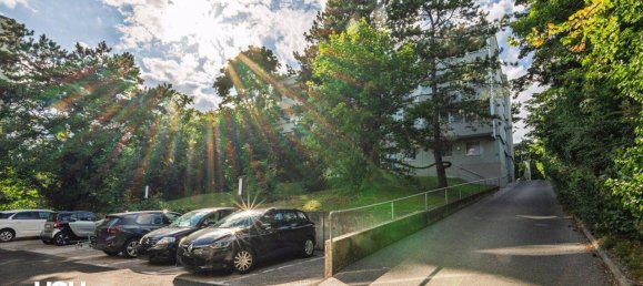 Apartamento de 4 habitaciónes en Bad Voslau, Austria No. 241398 19