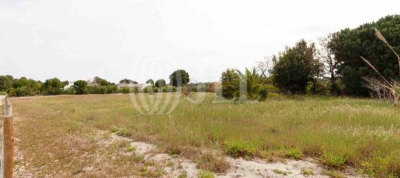 5738m² Land in Alcacer do Sal, Portugal No. 66515 13