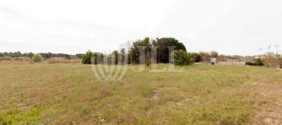 5738m² Land in Alcacer do Sal, Portugal No. 66515 11