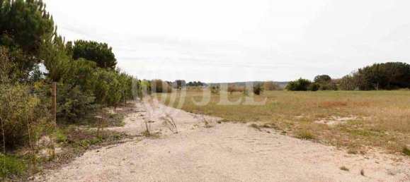 5738m² Land in Alcacer do Sal, Portugal No. 66515 14