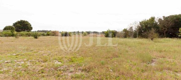 5738m² Land in Alcacer do Sal, Portugal No. 66515 2