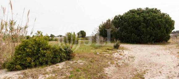 5738m² Land in Alcacer do Sal, Portugal No. 66515 12