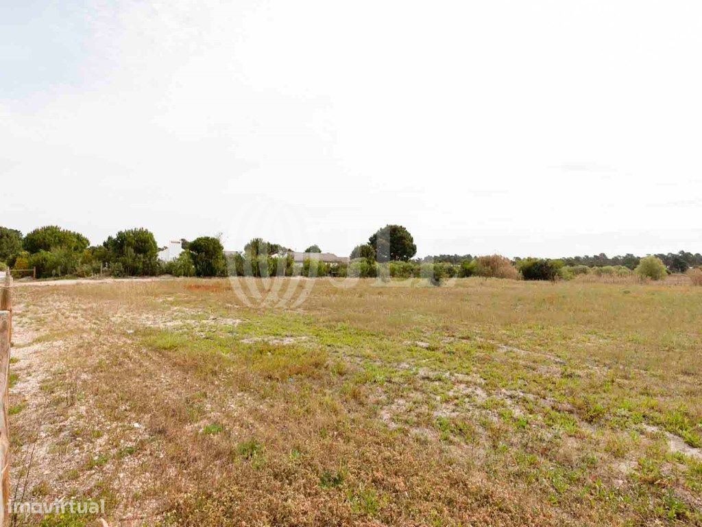 5738m² Land in Alcacer do Sal, Portugal No. 66515