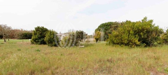 5738m² Land in Alcacer do Sal, Portugal No. 66515 5