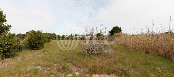 5738m² Land in Alcacer do Sal, Portugal No. 66515 10