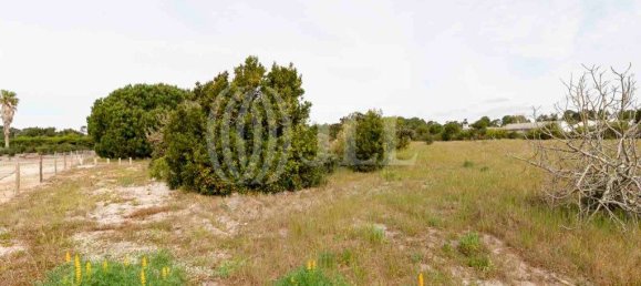 5738m² Land in Alcacer do Sal, Portugal No. 66515 6