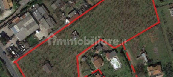 1 bedroom Villa in Nepi, Italy No. 213105 11