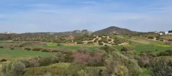 3 bedrooms House in Medina Sidonia, Spain No. 166939 4