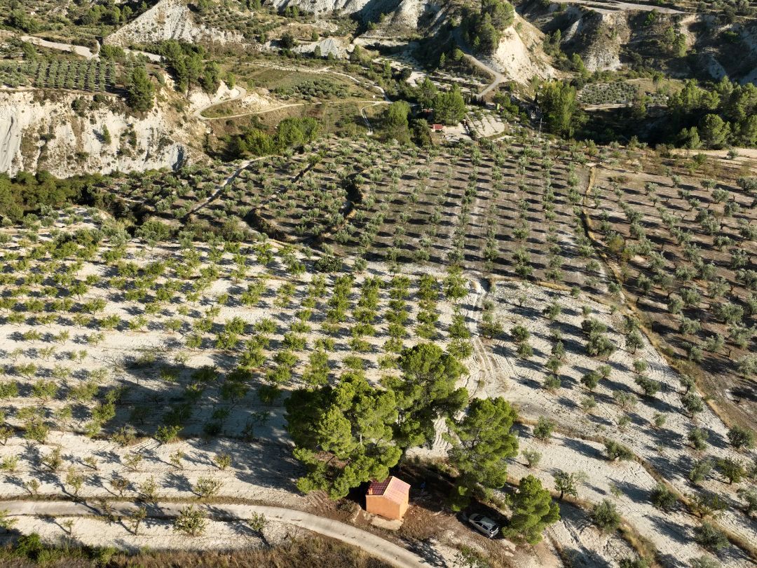 Terreno en Alicante, Spain 21500 m² No. 208476