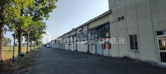 3غرفة مستودع في Fiesse, Italy رقم 226202 37