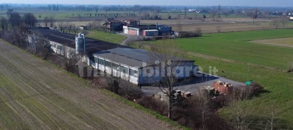 3غرفة مستودع في Fiesse, Italy رقم 226202 30