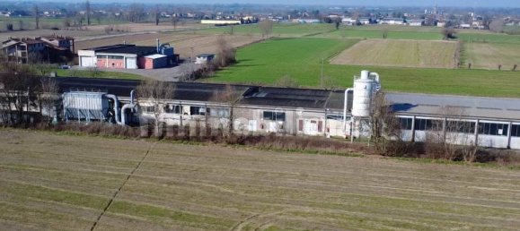 3غرفة مستودع في Fiesse, Italy رقم 226202 31