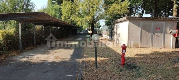 3غرفة مستودع في Fiesse, Italy رقم 226202 42