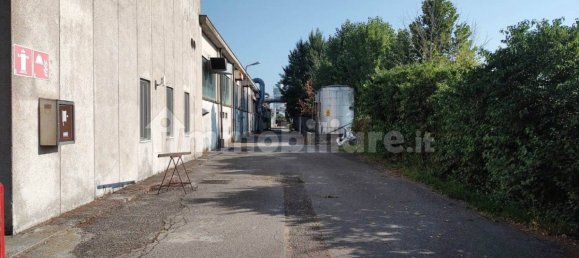 3غرفة مستودع في Fiesse, Italy رقم 226202 39