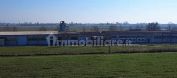 3غرفة مستودع في Fiesse, Italy رقم 226202 28