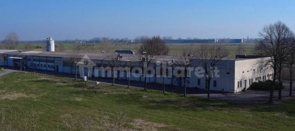 3غرفة مستودع في Fiesse, Italy رقم 226202 27