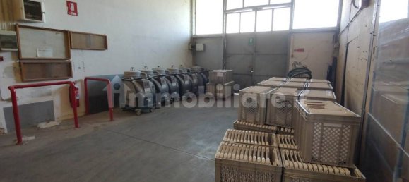 3غرفة مستودع في Fiesse, Italy رقم 226202 9