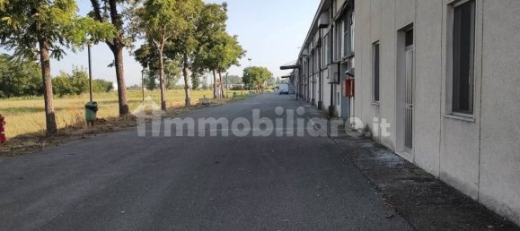 3غرفة مستودع في Fiesse, Italy رقم 226202 34