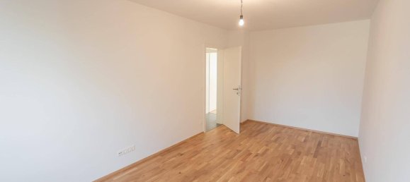 4-salle Appartement à Maria Enzersdorf, Austria No. 251614 22