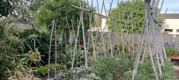 3 غرف نوم قطعة أرض في Estepona, Spain رقم 128711 7