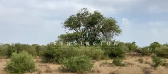 Terreno em Llucmajor, Spain 245 m² N.º 170075 2