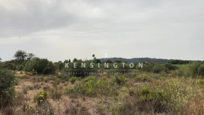 Terreno em Llucmajor, Spain 245 m² N.º 170075