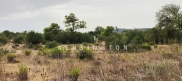 Terreno em Llucmajor, Spain 245 m² N.º 170075 8