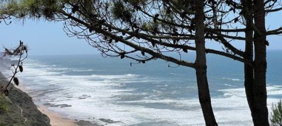 Apartamento de 1 dormitorio en Sintra, Portugal No. 347151 22