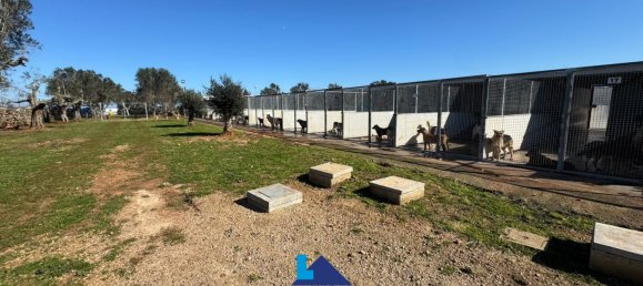 Grundstück in Soleto, Italy 1380m², Nr. 288285 16