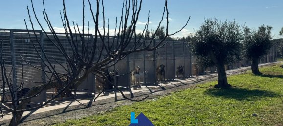 Grundstück in Soleto, Italy 1380m², Nr. 288285 8