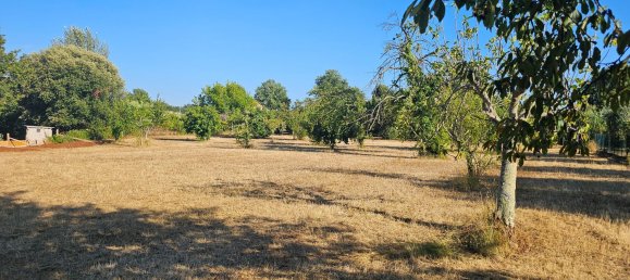 Terrain à Sezze, Italy 8500m² No. 263892 10