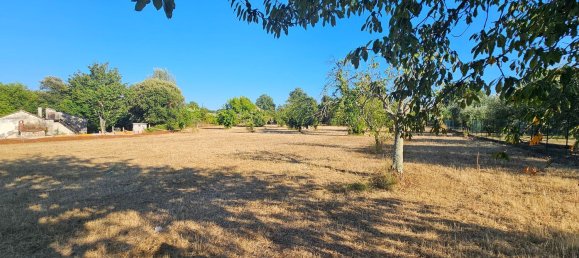 Terrain à Sezze, Italy 8500m² No. 263892 6