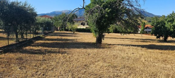 Terrain à Sezze, Italy 8500m² No. 263892 18