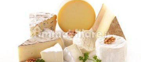 1-Zimmer Gewerbliche Immobilie in Rome, Italy, Nr. 50128 4