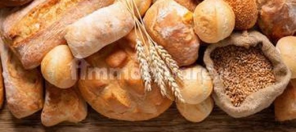 1-Zimmer Gewerbliche Immobilie in Rome, Italy, Nr. 50128 6