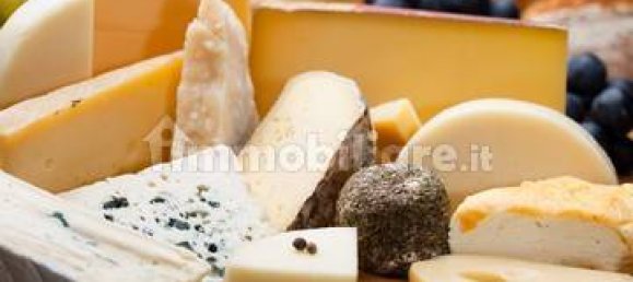 1-Zimmer Gewerbliche Immobilie in Rome, Italy, Nr. 50128 2