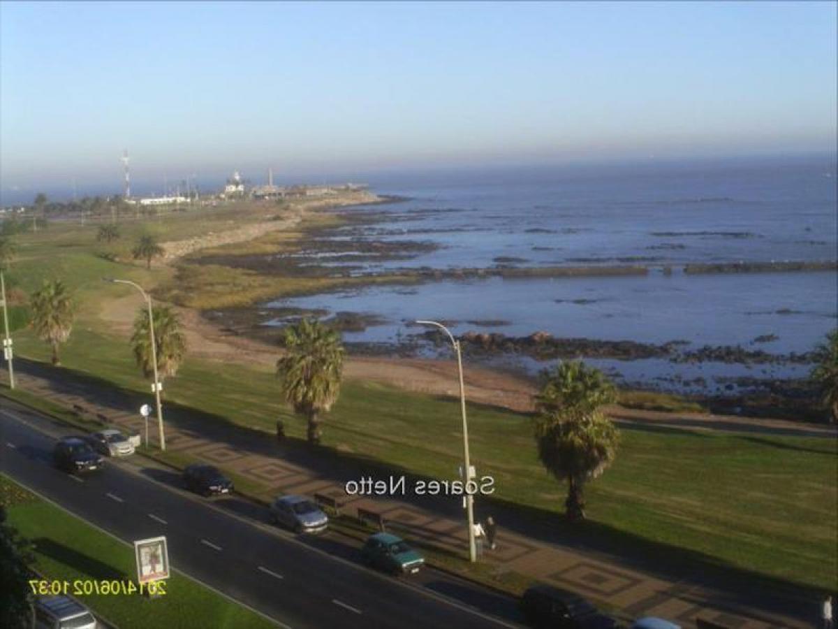 Квартира с 3 спальнями в Монтевидео, Уругвай № 8872