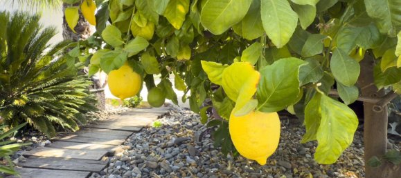 Casa T3 em Tolox, Spain N.º 146271 32