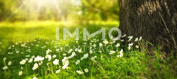 Grundstück in Pirching am Traubenberg, Austria, Nr. 134164 7