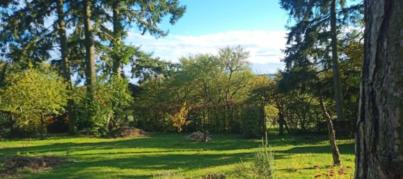 Земельный участок в Энц, Германия № 366147 20