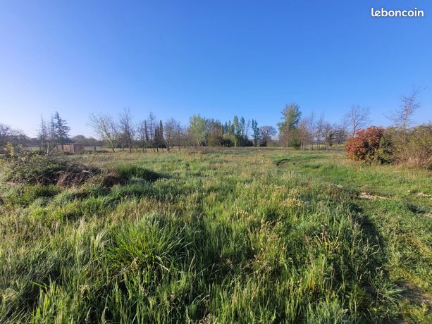 1087m² Land in Viterbe, France No. 309337