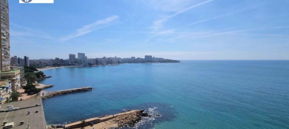 3 chambres Appartement à Alicante, Spain No. 89321 18