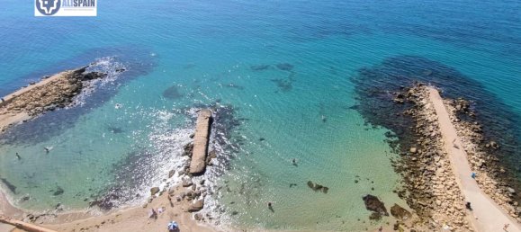 3 chambres Appartement à Alicante, Spain No. 89321 13