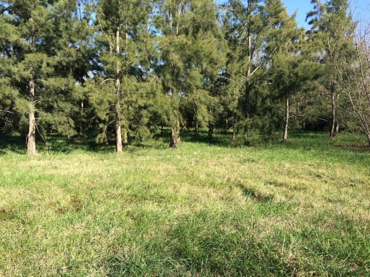 Grundstück in Presidente Peron, Argentina, Nr. 42740