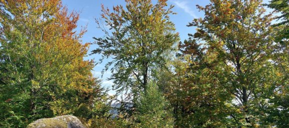 6 rooms House in Pabneukirchen, Austria No. 175136 44