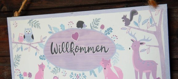 6 rooms House in Pabneukirchen, Austria No. 175136 20